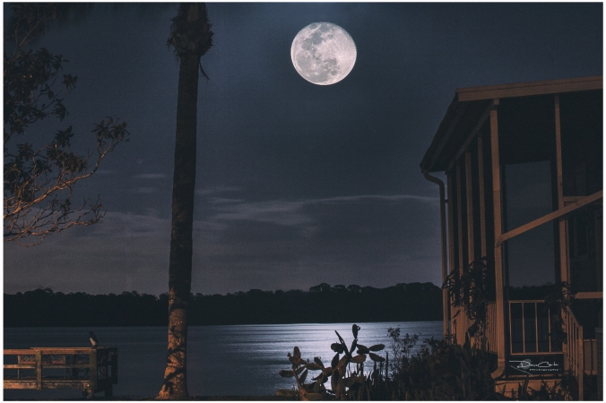 Seminole Moon 2019